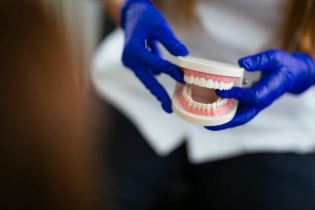  Los Alamitos, CA Holistic Dental Services Pros